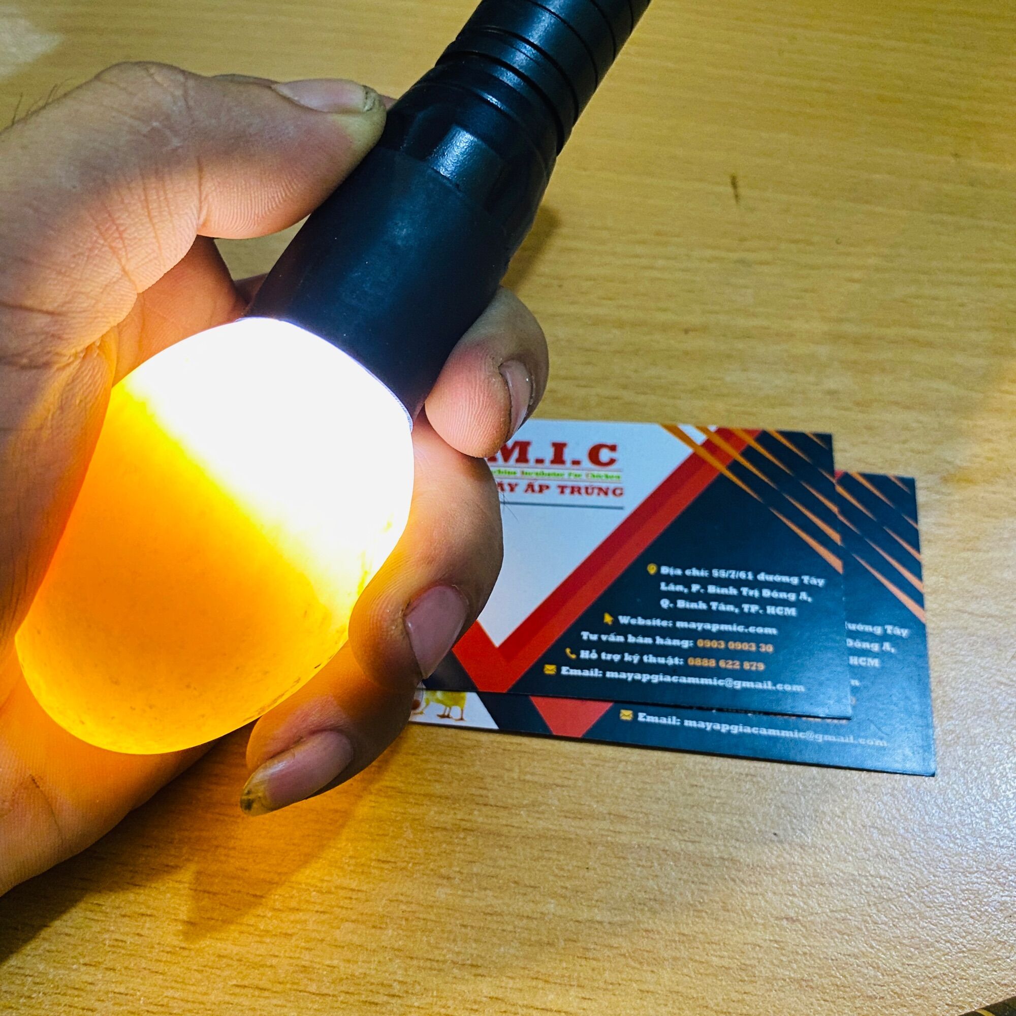 Đèn soi trứng Led sạc pin 3 chế độ