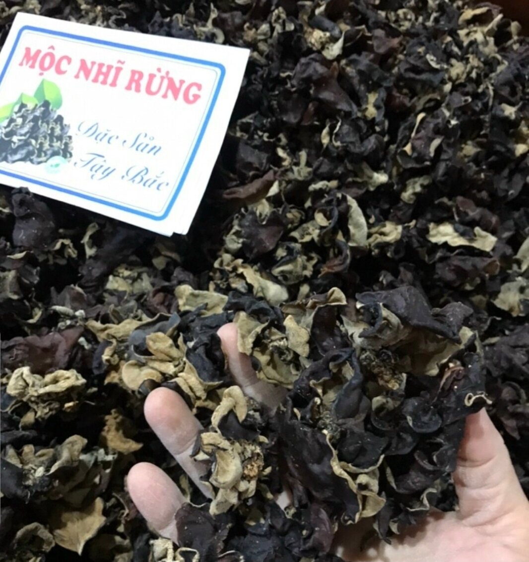 500g mộc nhĩ rừng Tây Bắc
