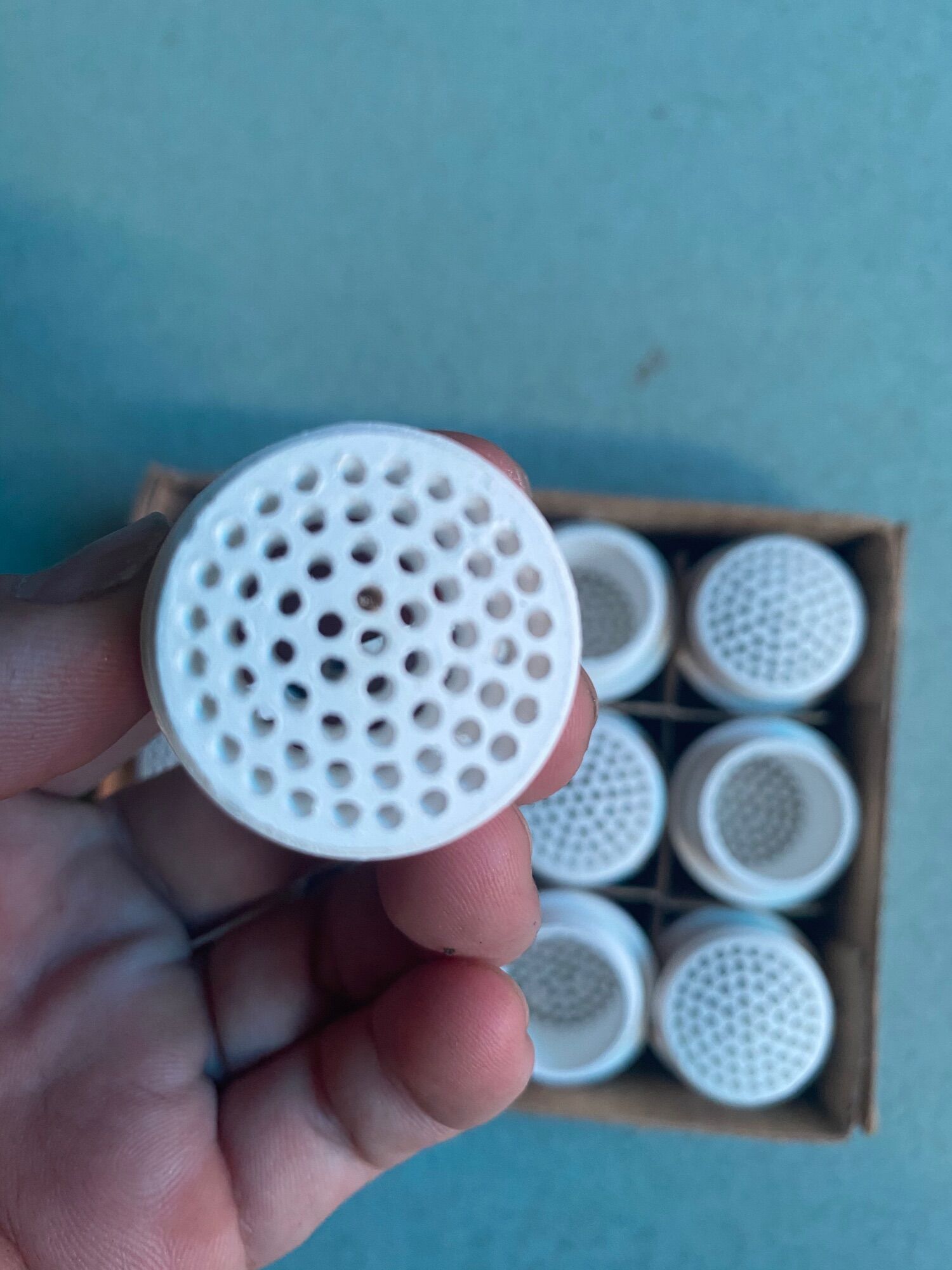 Cục Đất Đèn Măng Xông, Tổ ông (50.000/ 1 cái)