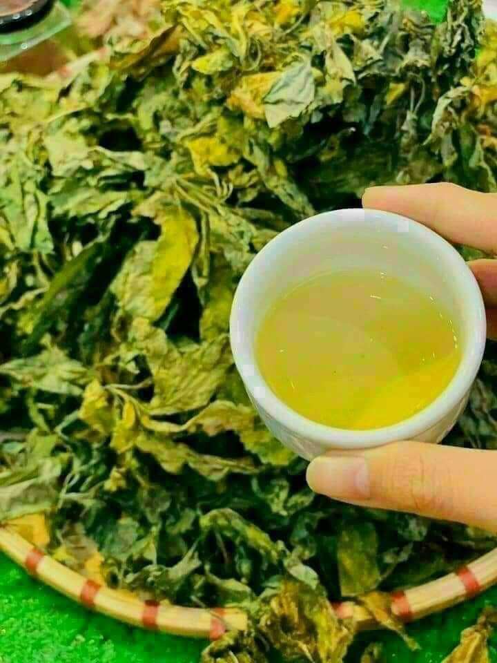 lá sâm ngọc Linh khô 100gram