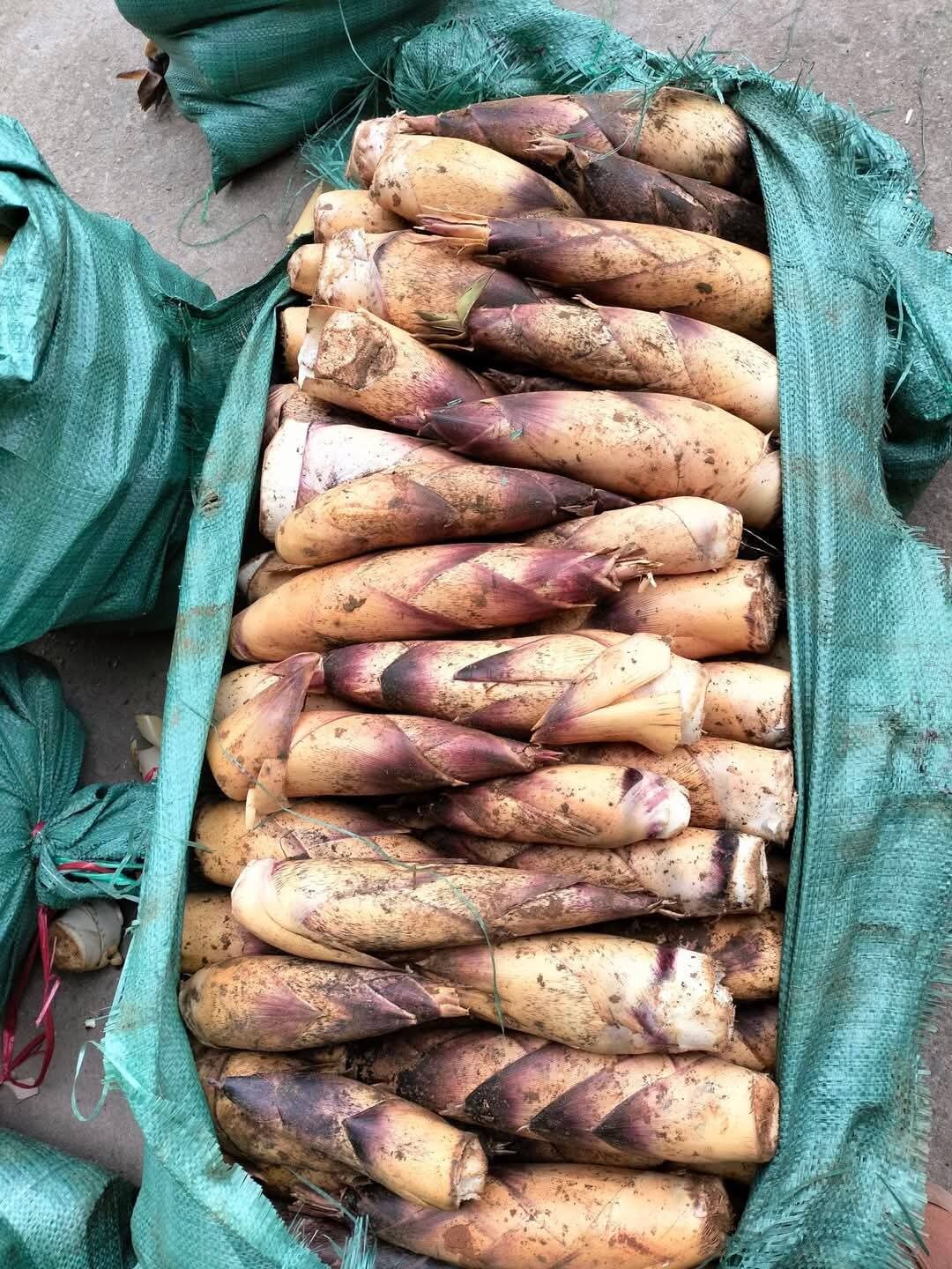 Măng vầu ngọt Tây Bắc 1kg