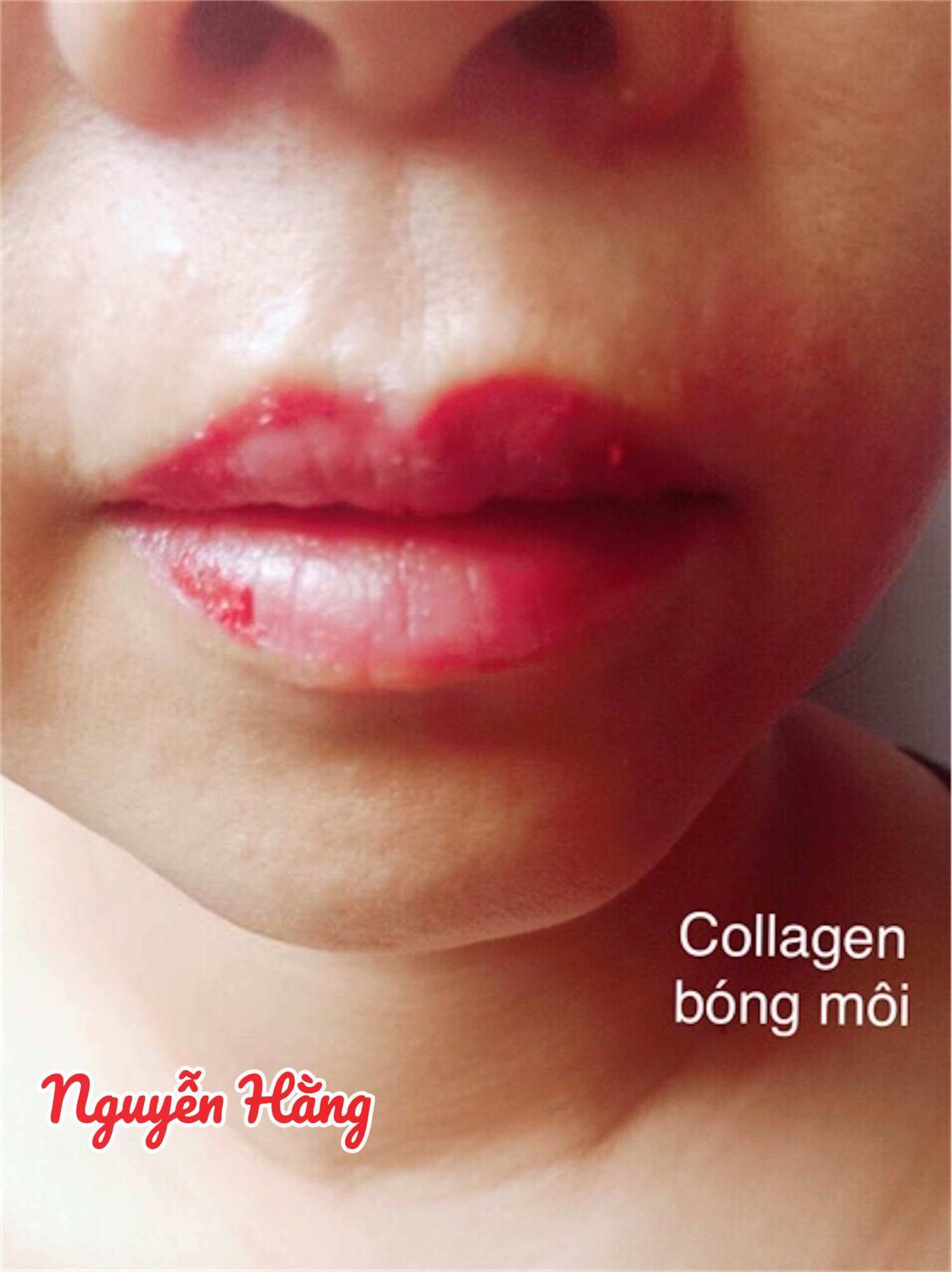 Nước pha mực phun xăm, Collagen bóng môi