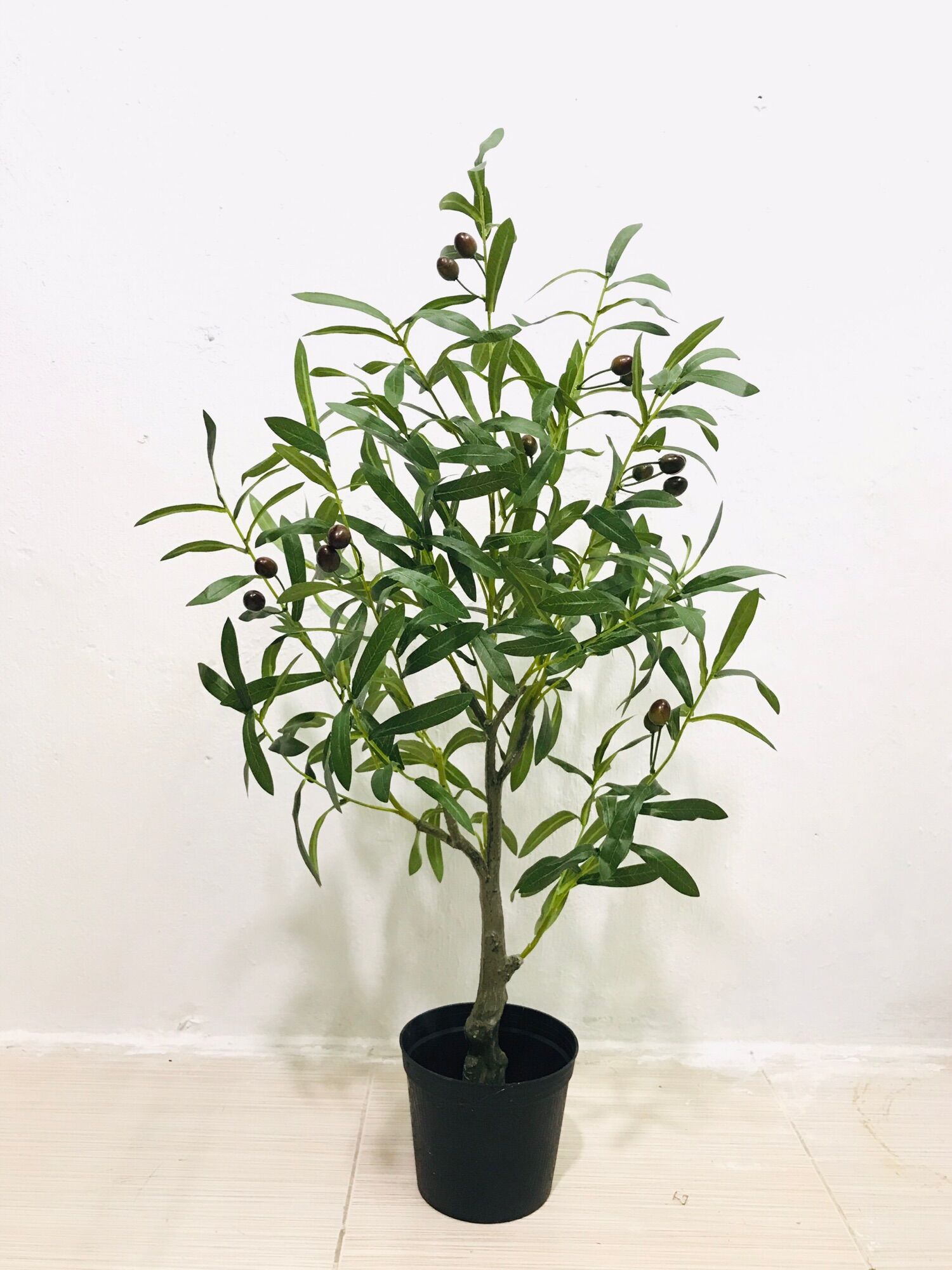 cây oliu - cây ô liu giả 85cm - hằng decor
