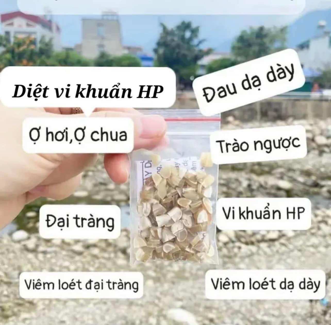 Hạt sang hạt sành mua 2 tặng 1