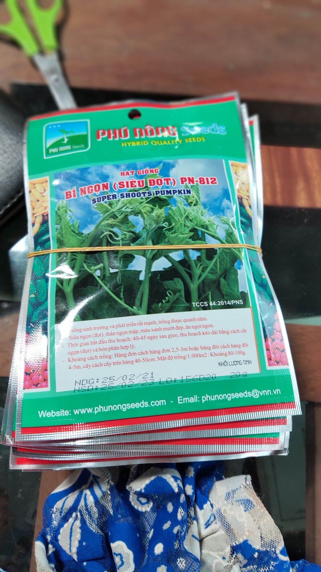 Hạt giống bí ăn ngọn