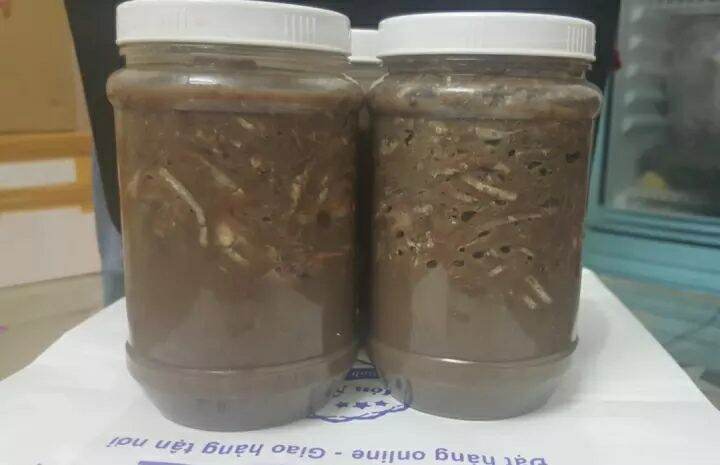 0.5 kg mắn cá cơm đặc sản quê hương bình định ăn là ghiền