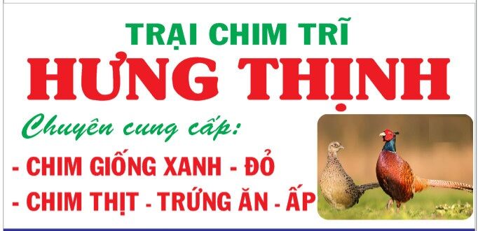 Trứng chim trĩ lạc dùng để ăn combo 10 quả