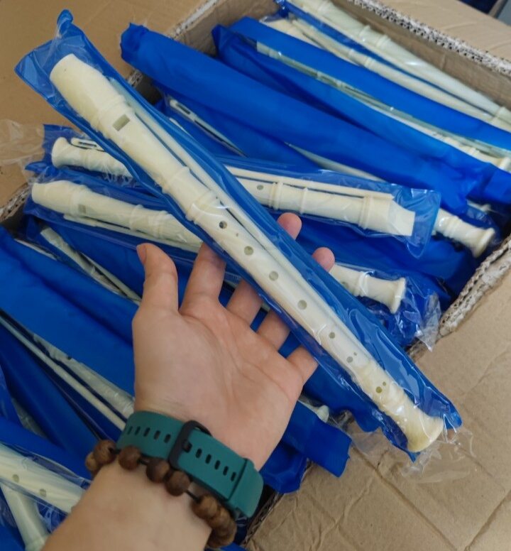 Sáo recoder 8 lỗ học sinh - hay dùng. german