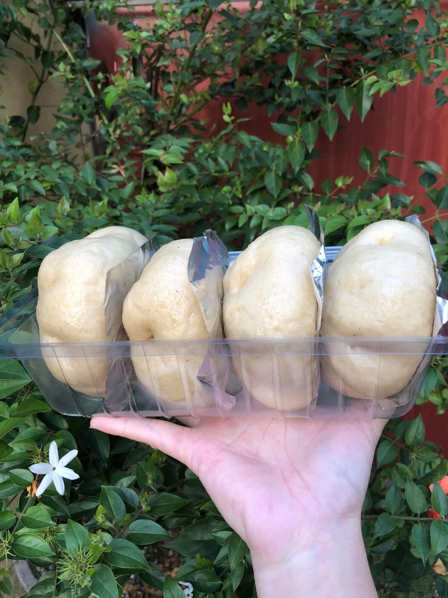 Bột mỳ nguyên cám Úc 1kg