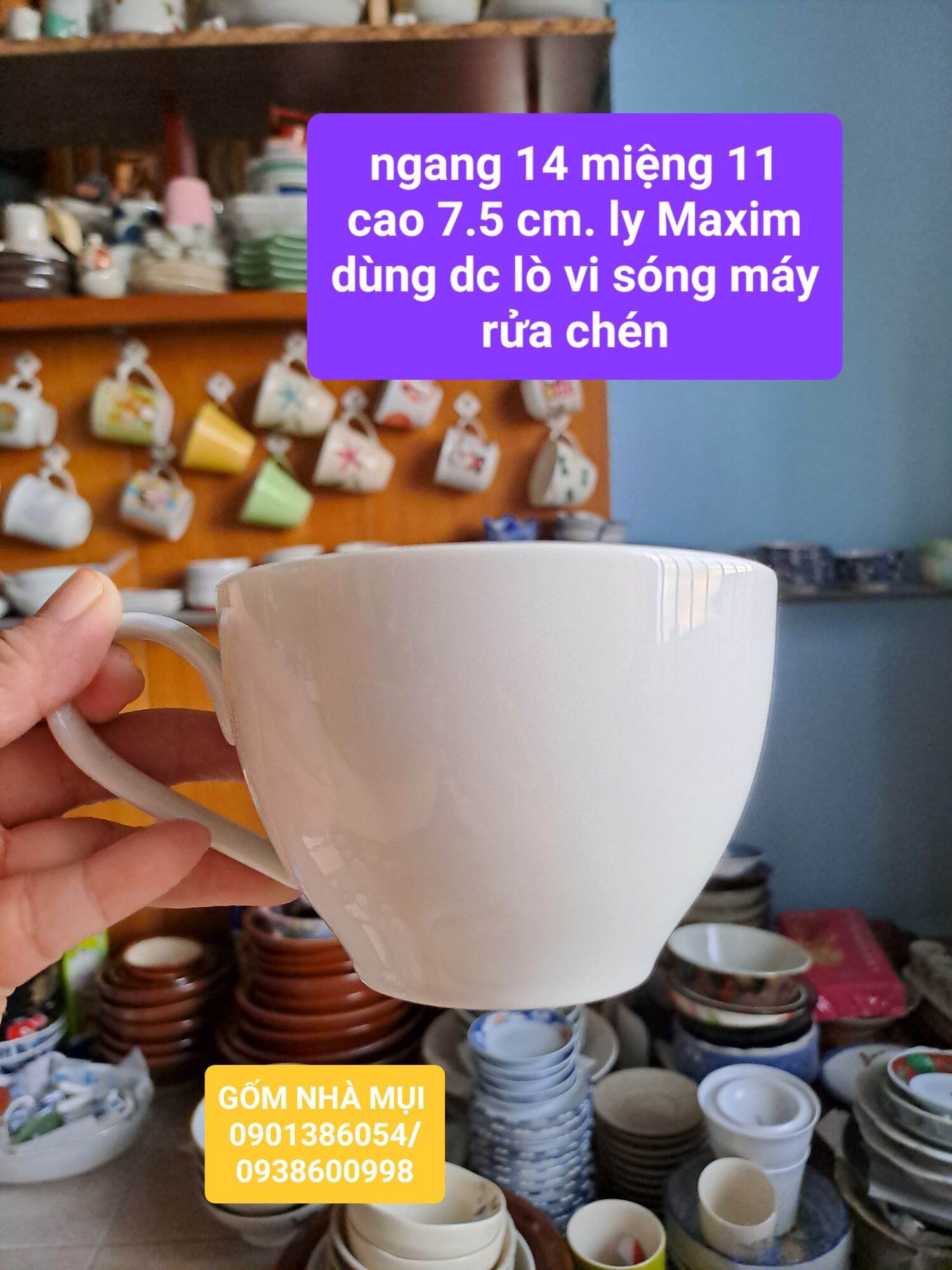 Ly cốc To big size 300_500ml Gốm sứ nhật 2hand