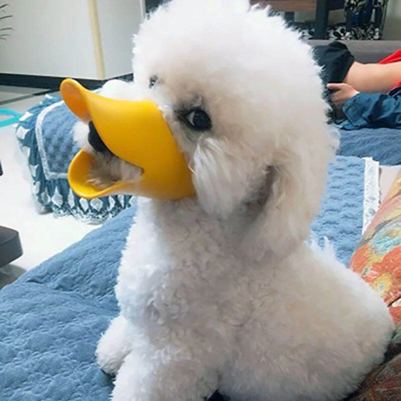 Rọ mõm chó, rọ mõm chó chống cắn, rọ mõm chó, rọ mõm chó, rọ mõm chó nhỏ, thú cưng