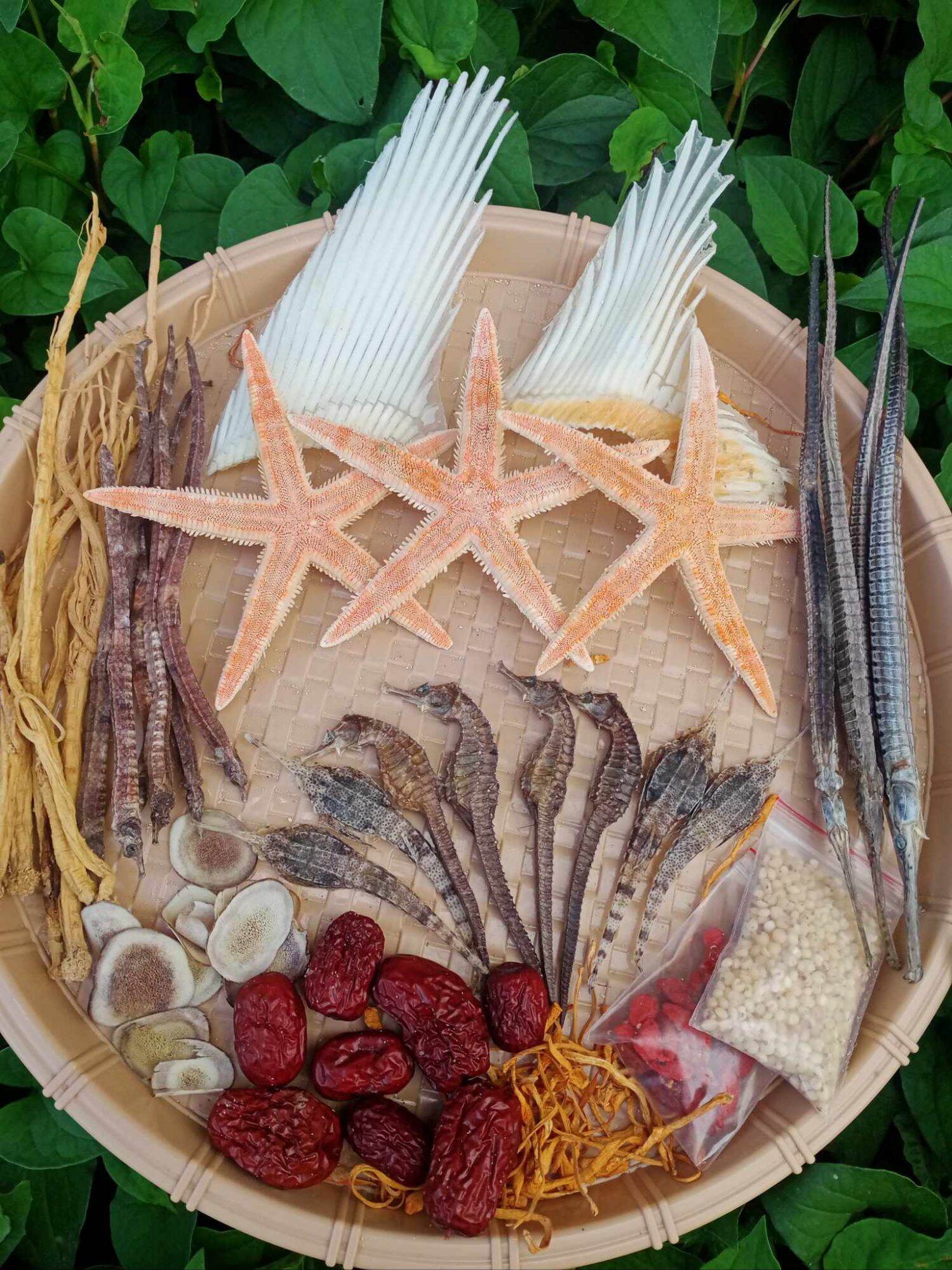 combo cá ngựa ngâm 3 lít