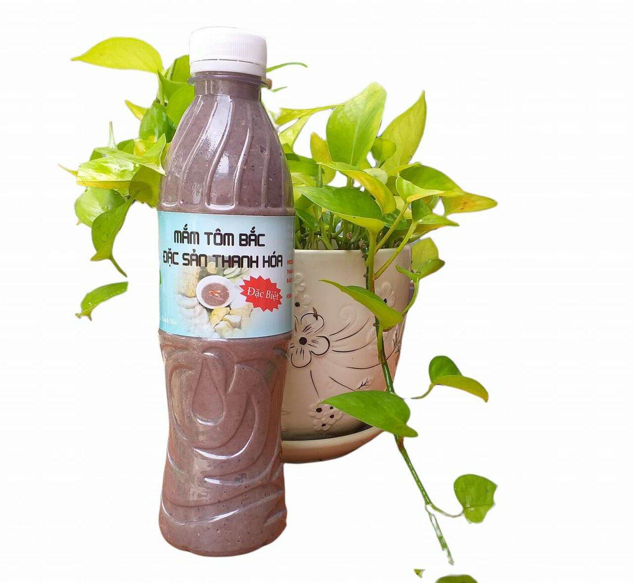 Mắm tôm ba làng thanh hóa