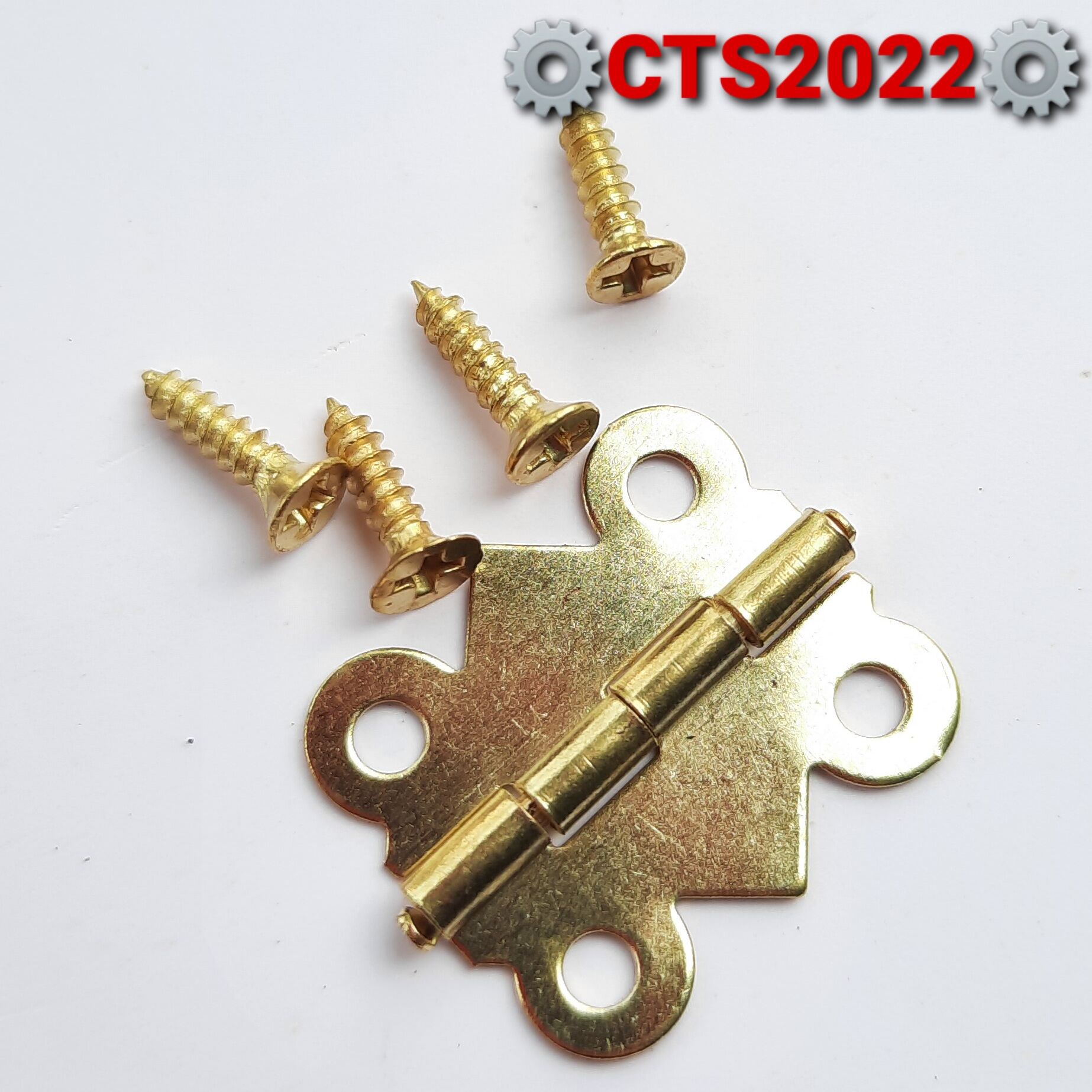 Set 2 bản lề mini 20x17mm kèm đinh vít