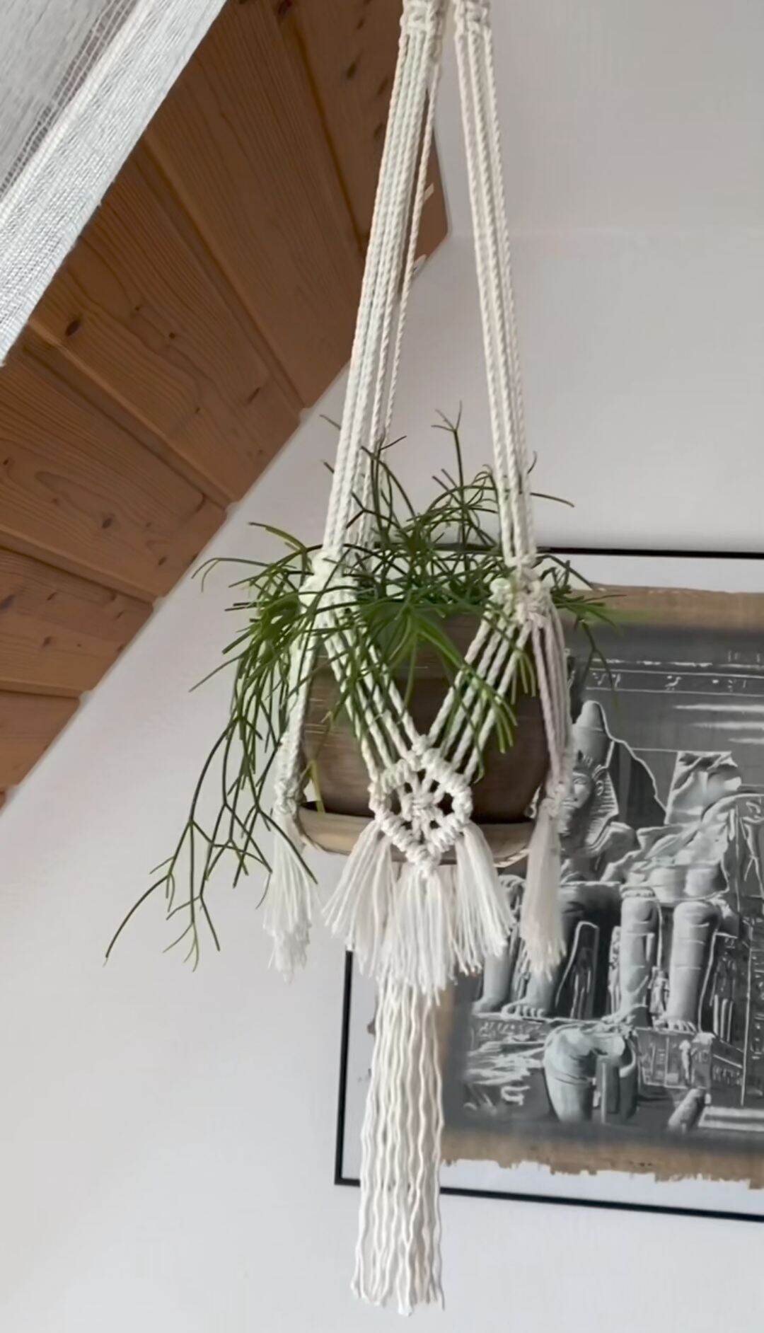 dây treo chậu hoa cây cảnh tết macrame độc đáo