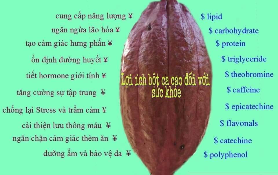 BỘT CACAO ĐẮK LẮK NGUYÊN CHẤT CHUẨN XỊN (HỘP 500GR)