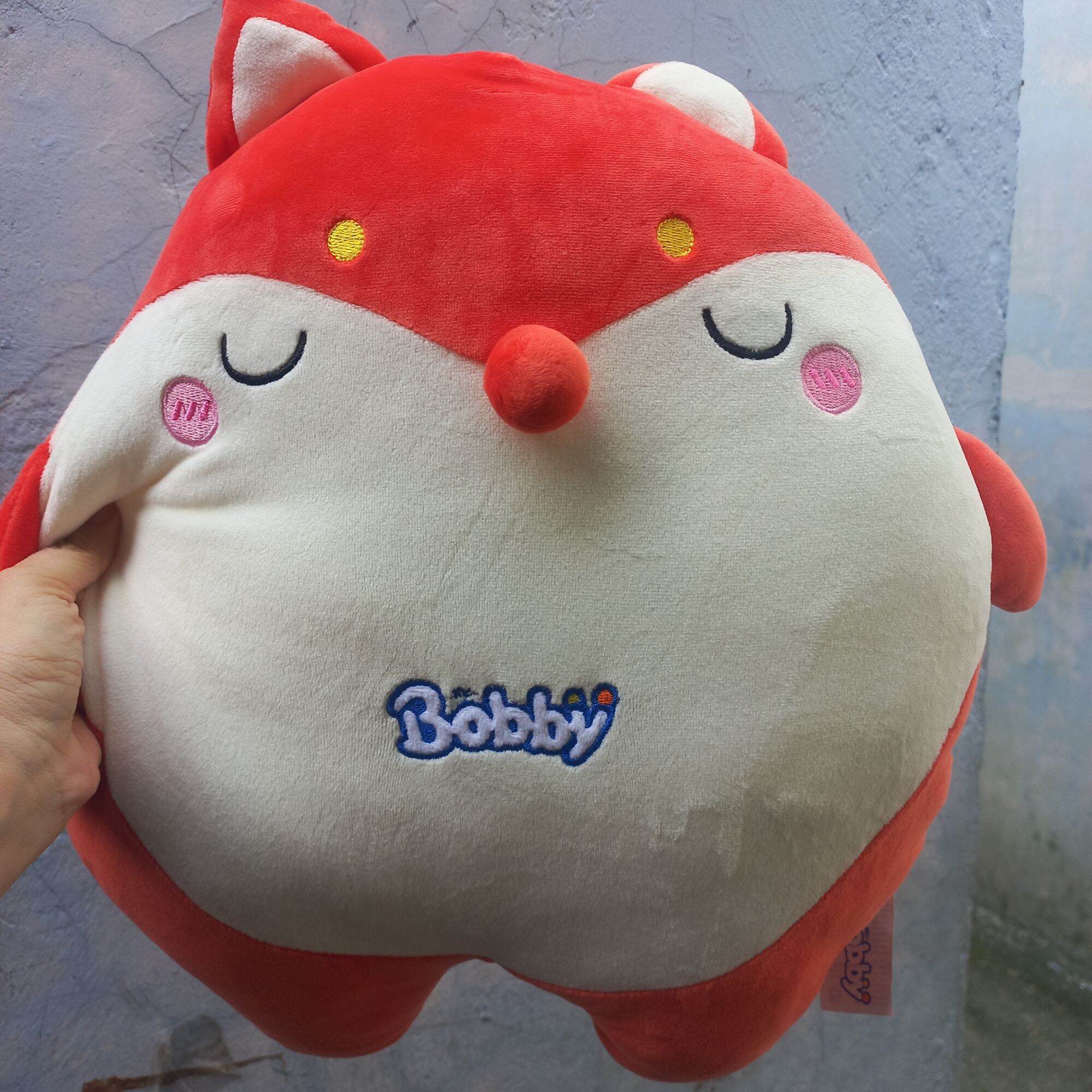 Thú Bông Cáo - quà tặng của Bobby