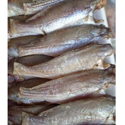 1kg khô cá Đù khô loại ngon cực khô mới( nhà phơi)