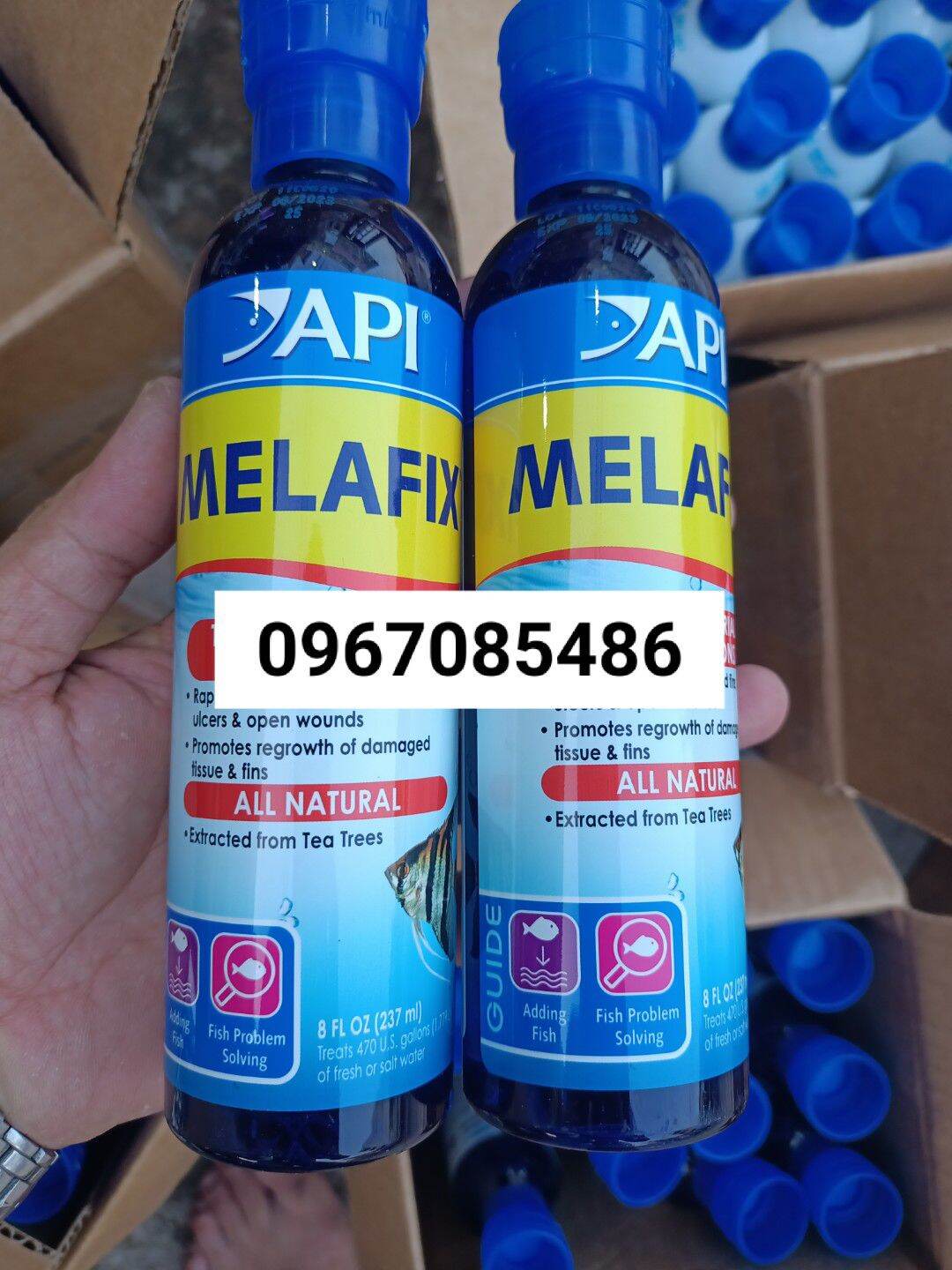 Melafix Dung Dịch Kháng Khuẩn Cao Cấp Của MỸ Chai 237ml , NGĂN NẤM , NGỪA BỆNH CHO CÁ