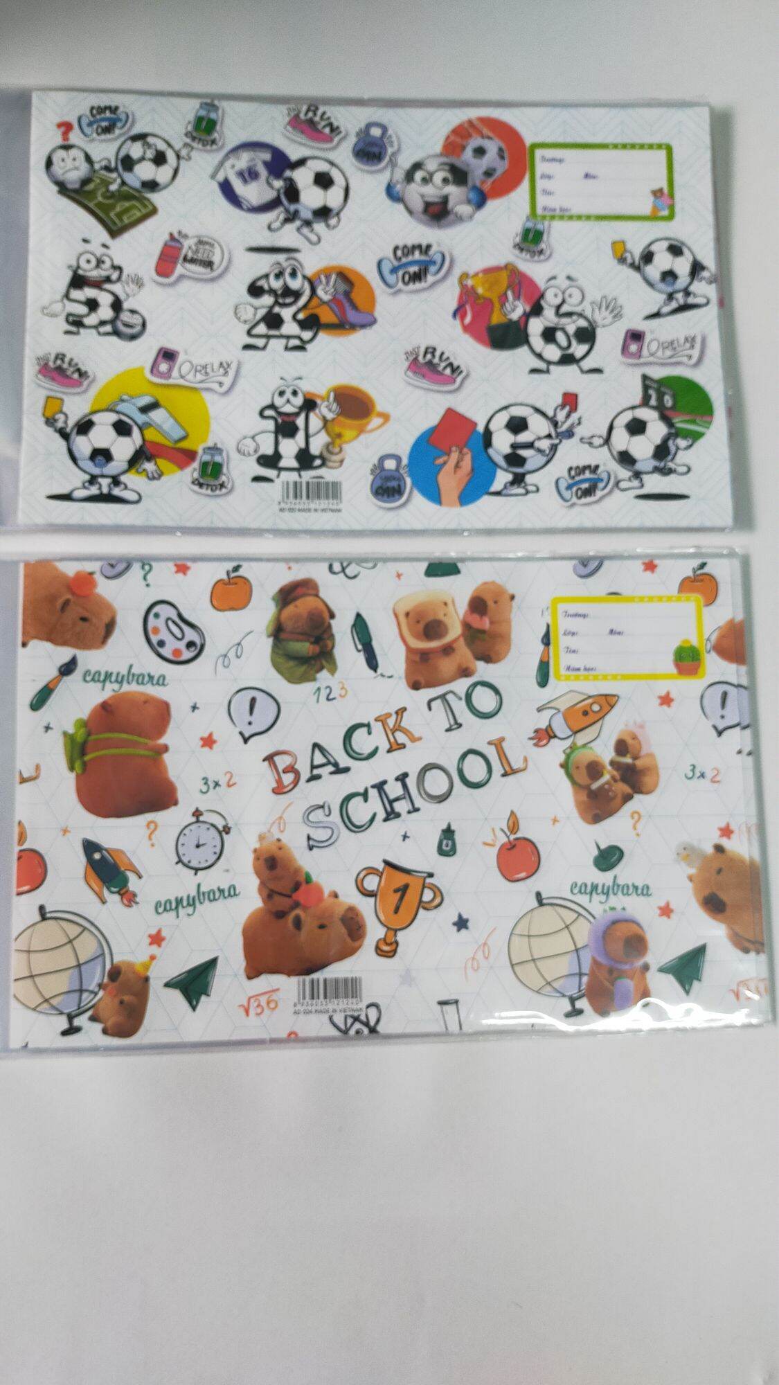 10 Cái  Bao   Tập   Vở  Hình    Có    Kiếng Bóng