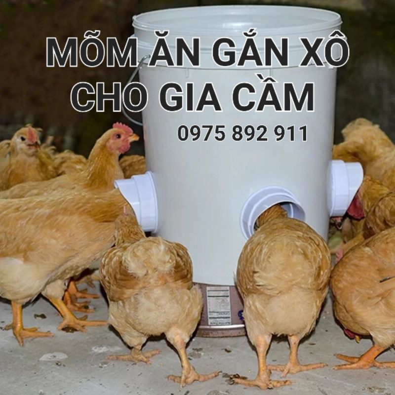 Máng ăn tự động gắn xô cho gà vịt