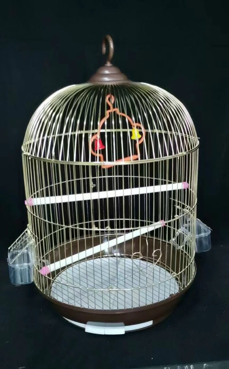 Lồng chim ánh vàng tròn cho các dòng chim nhỏ