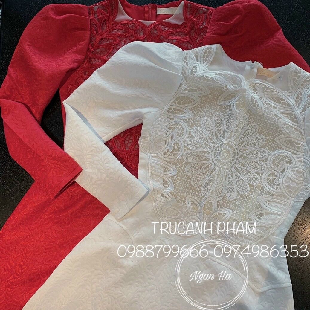 Đầm Xoè phối Ren Cao Cấp Dự Tiệc cho Nữ