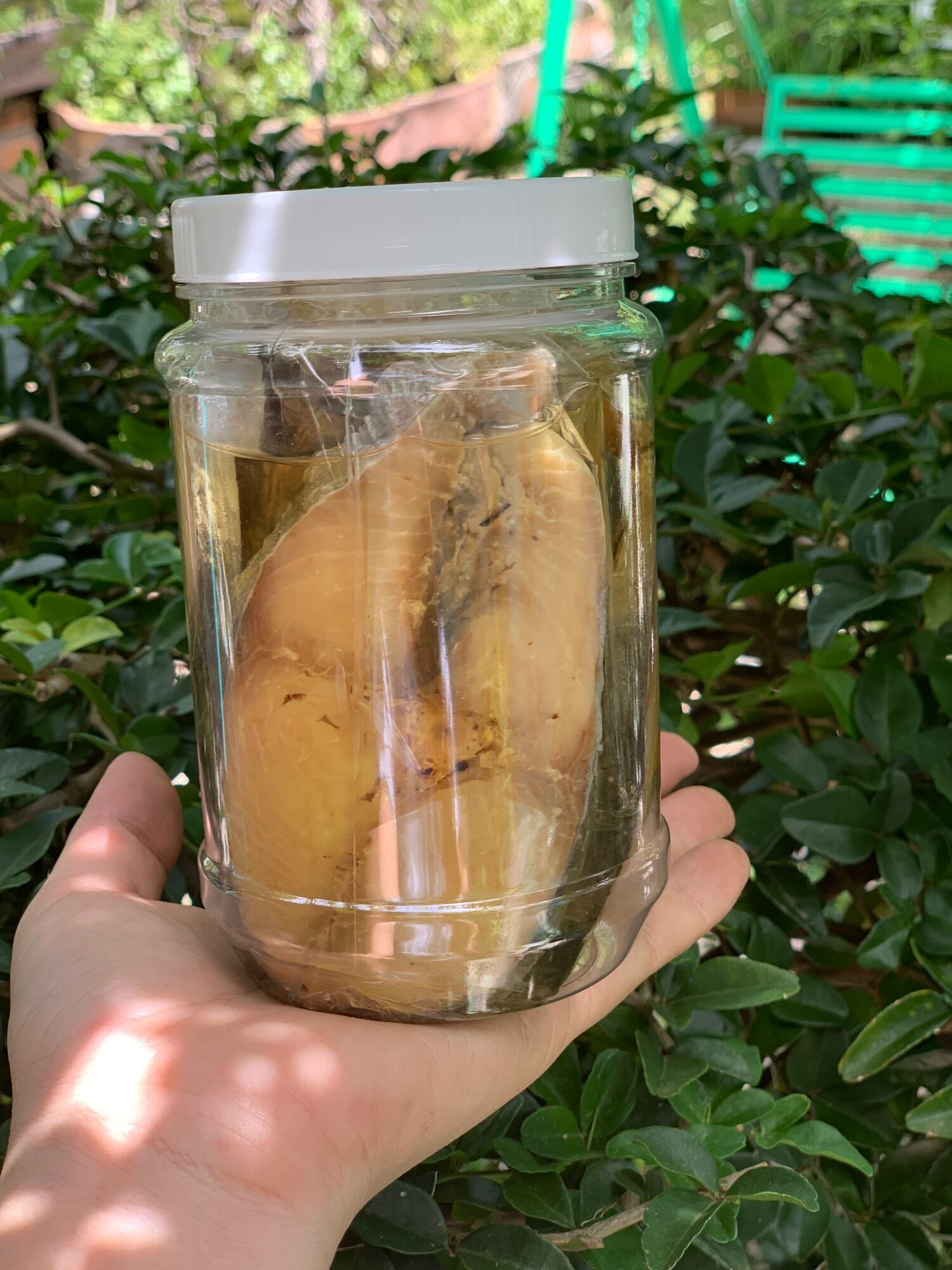 500g mắm cá thu ngâm dầu