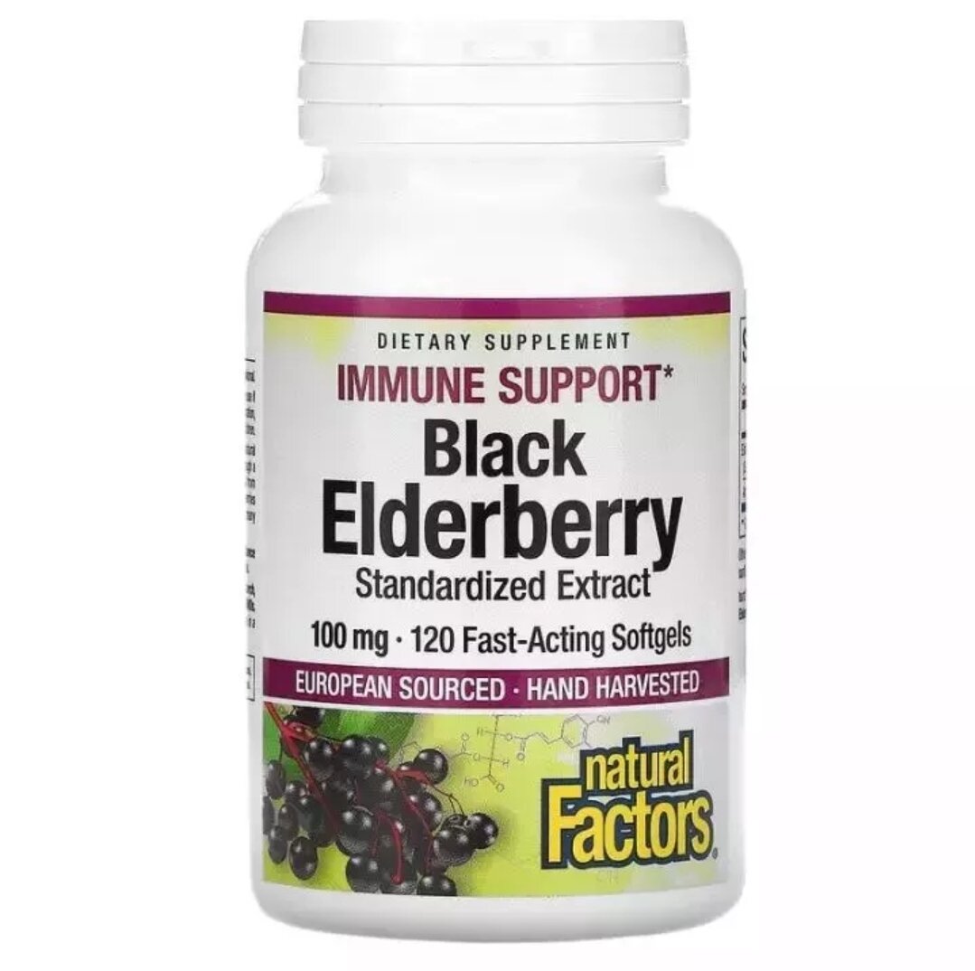 Chống cảm cúm Natural Factors Black Elderberry 100 mg 120 Capsules