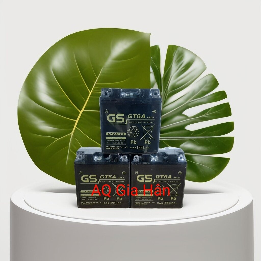 Bình Ắc Quy Khô GS GT6A (12V-6Ah); Kích thước (mm): 121 x 62 x 131 dùng cho Dream, Sirius cơ, Jupite