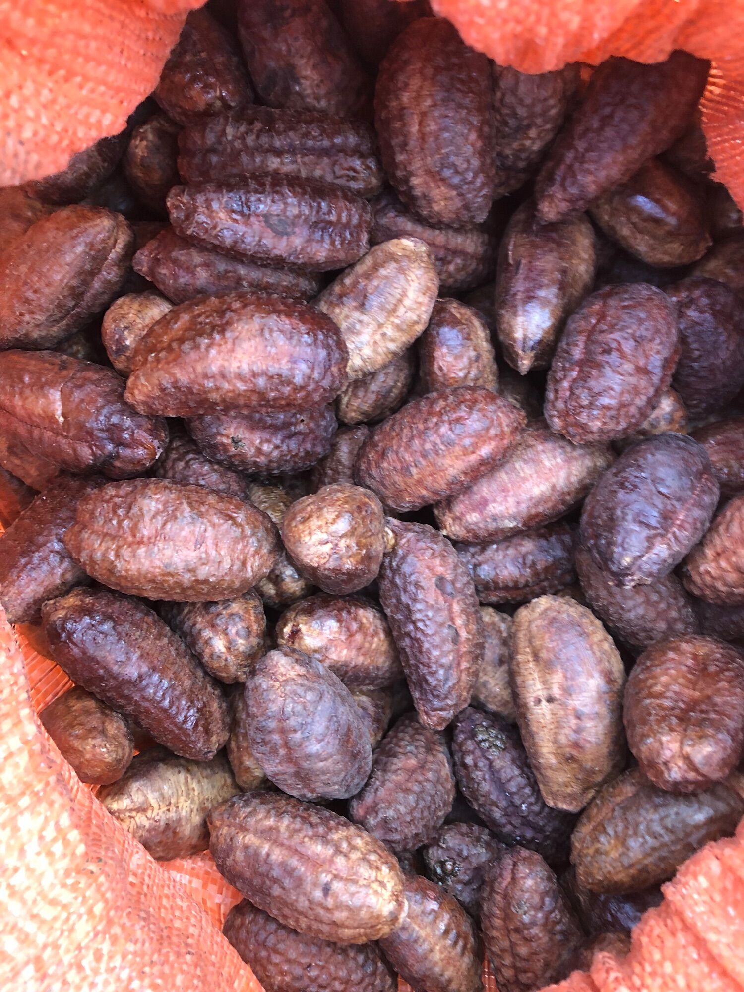 Chuối hột khô 130k/2kg