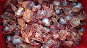 Mề gà bịch 1kg (giao tphcm)