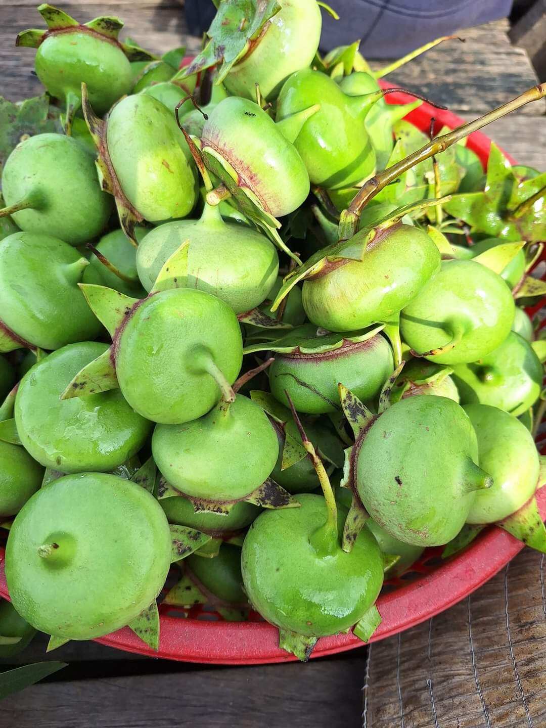 Trái Bần tuổi thơ 2kg không phân thuốc