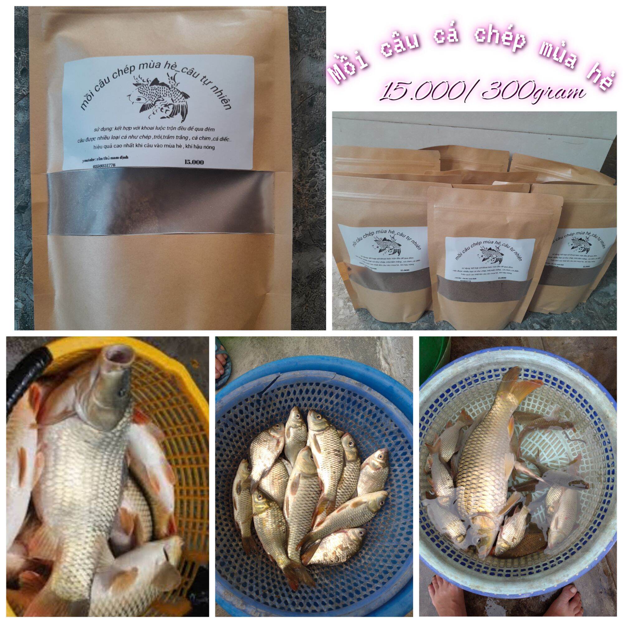 Mồi câu cá mùa hè , mùa mưa _ câu chép, trôi, trắm trắng, cá diếc , hiệu quả vi diệu