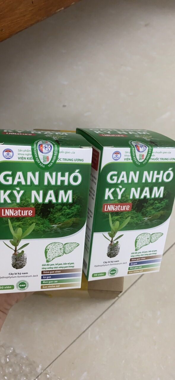 Gan nhó kỳ nam - Date mới 2027
