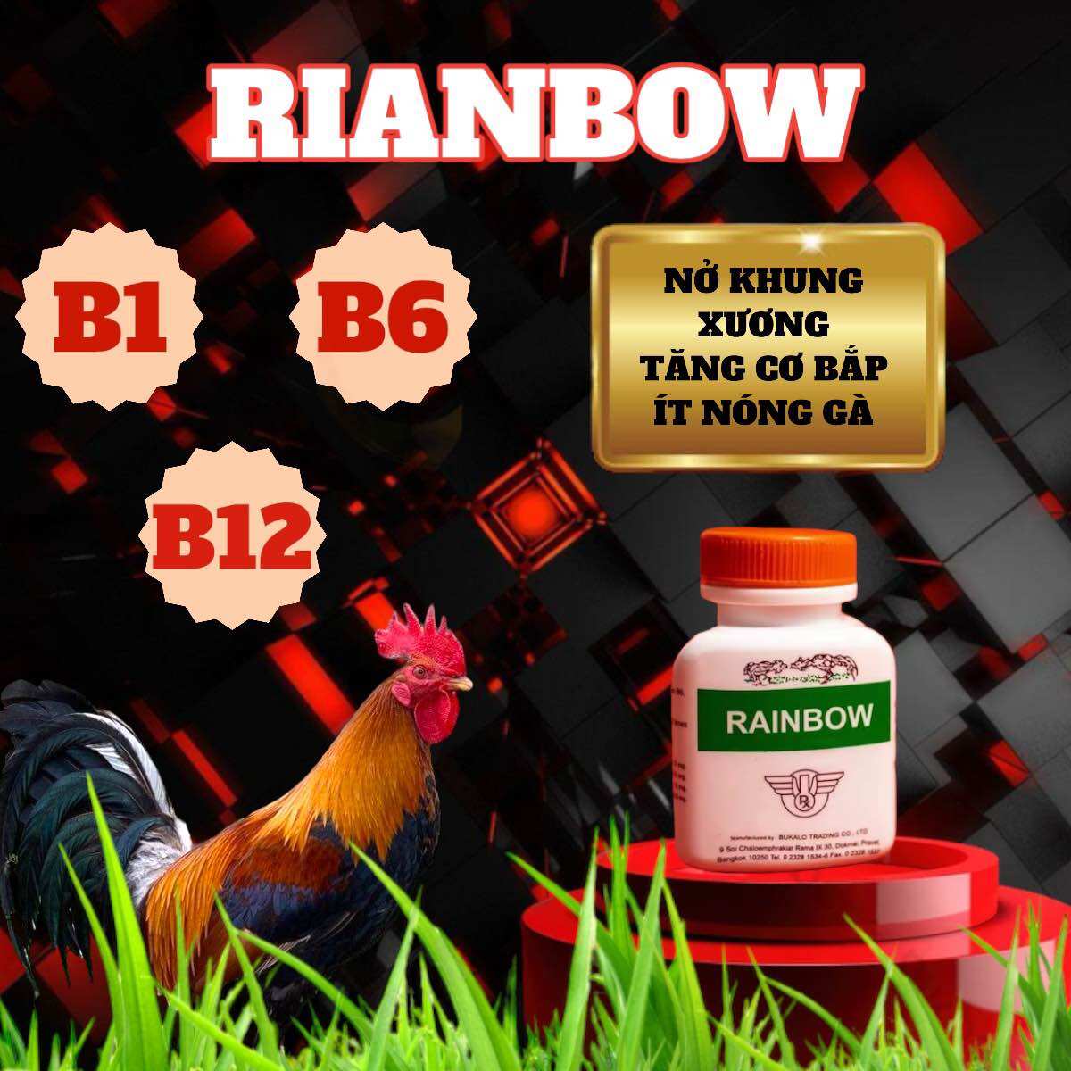Thuốc nuôi gà đá RAINBOW 1 lốc 12 hộp