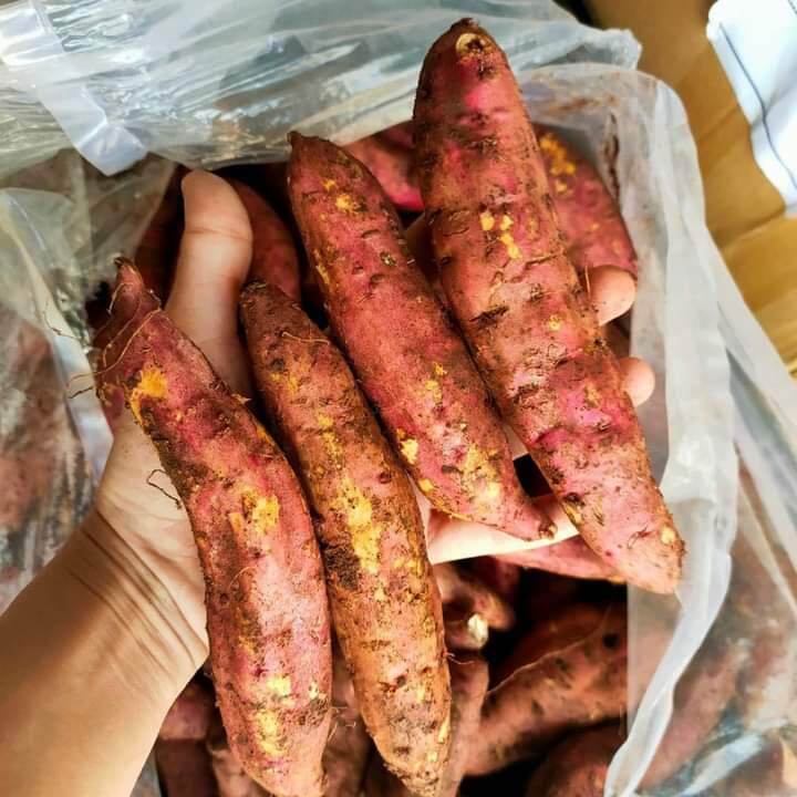 khoai lang mật 1kg
