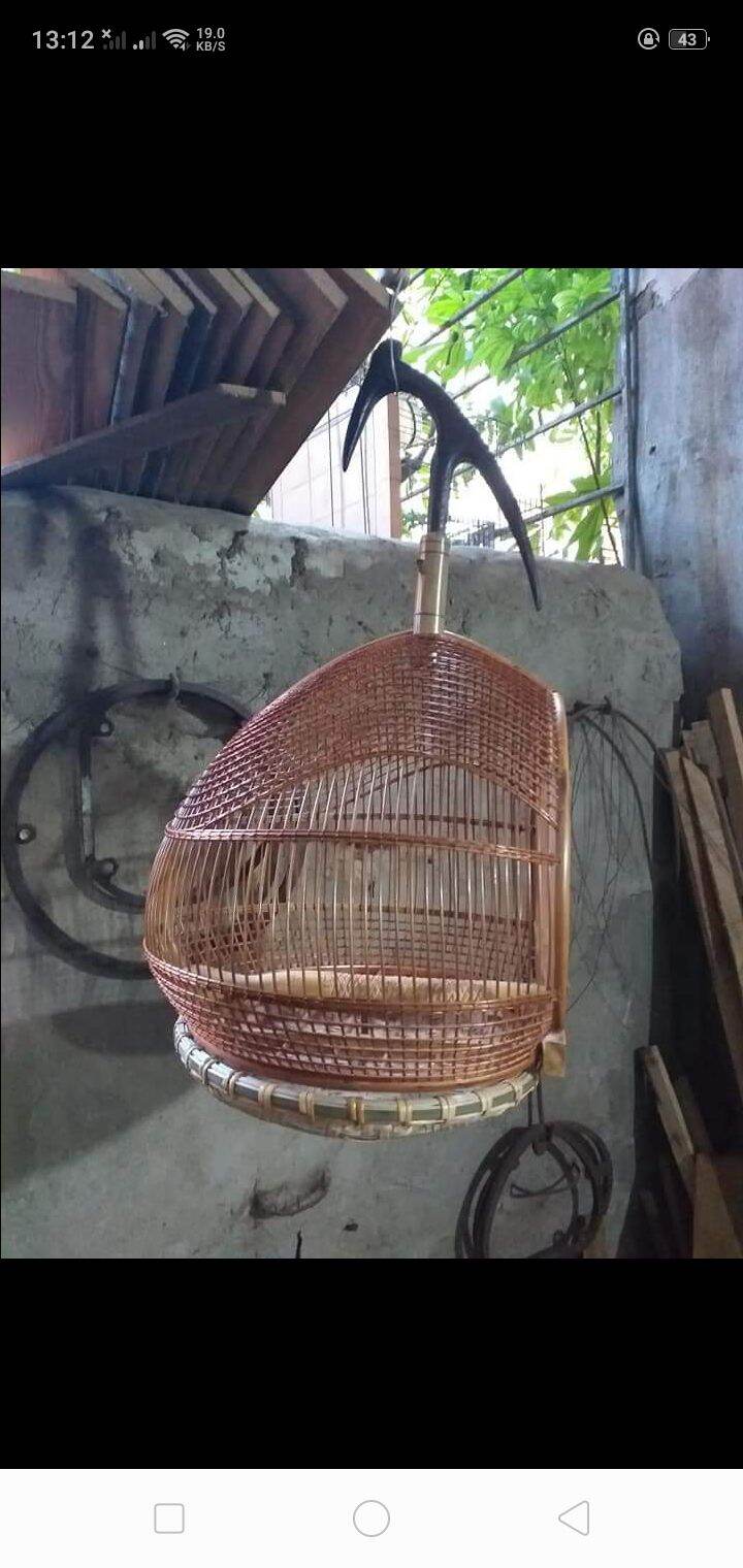 lồng chim g&aacute;y