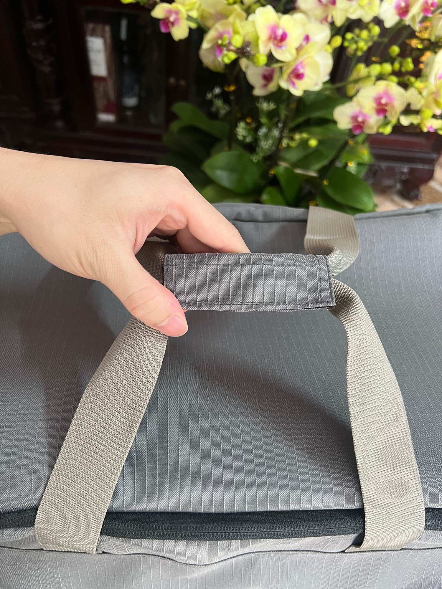 Túi đựng vưa loa Bluetooth Cs250pu - CS251pu