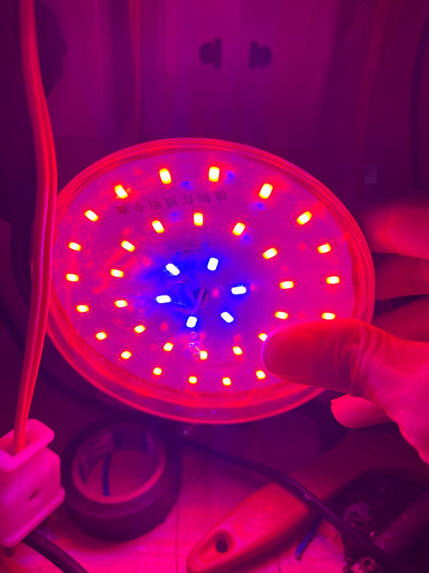 Bóng led trồng cây trong nhà 15w - bóng led quang phổ. bóng led quang hợp cho cây.