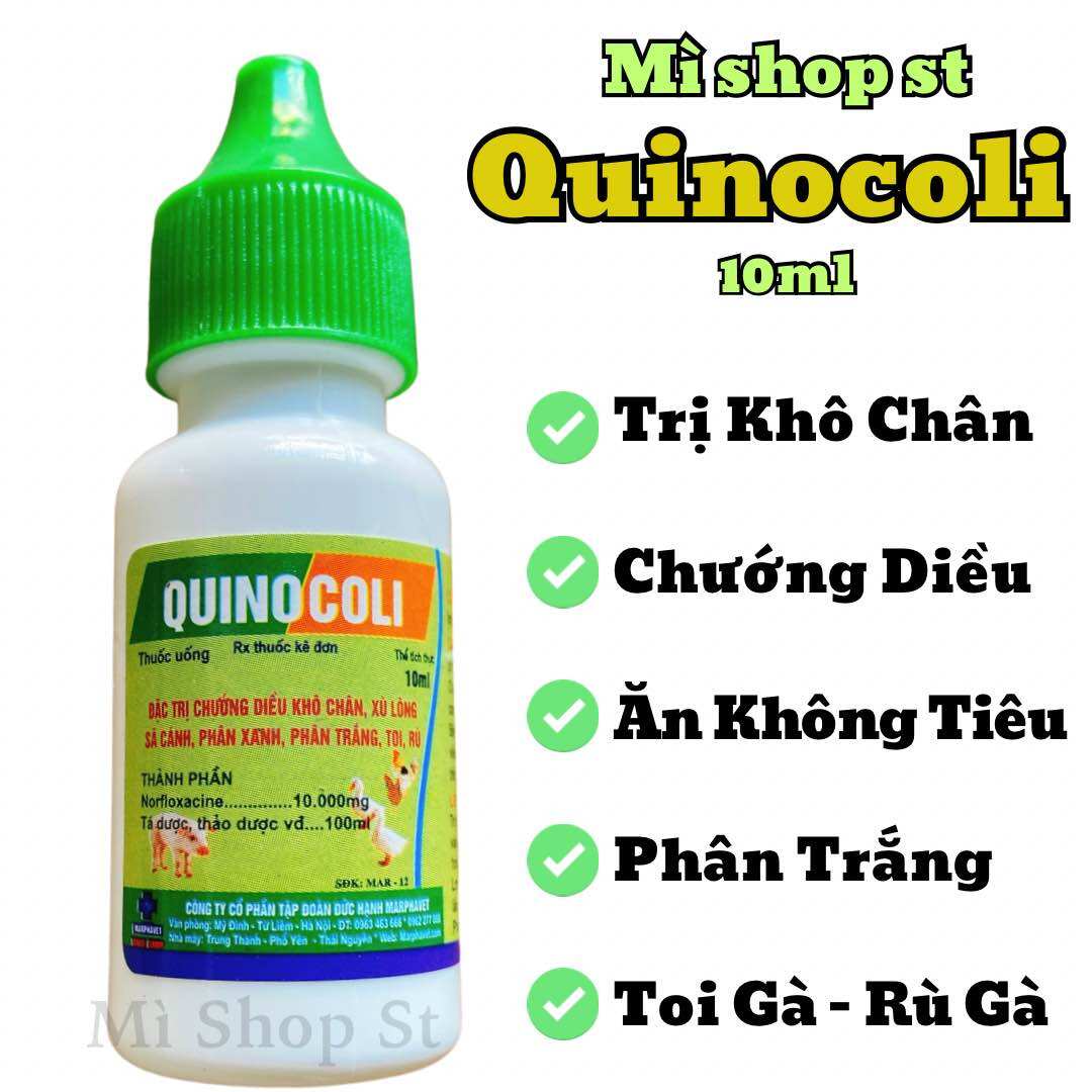Quinocoli lọ 10ml chướng diều, khô chân, xù lông, xã cánh, phân xanh, phân trắng, toi rù gà, vịt, chim cảnh