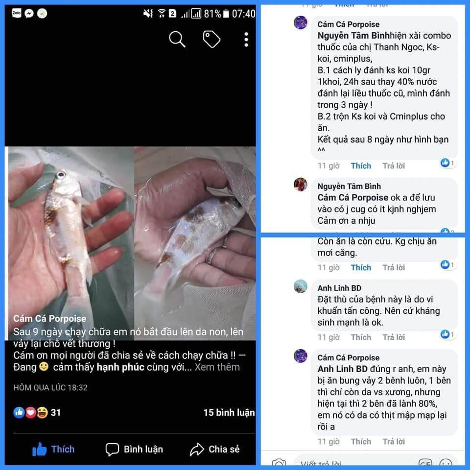[HCM]Cám Care Food Tảo