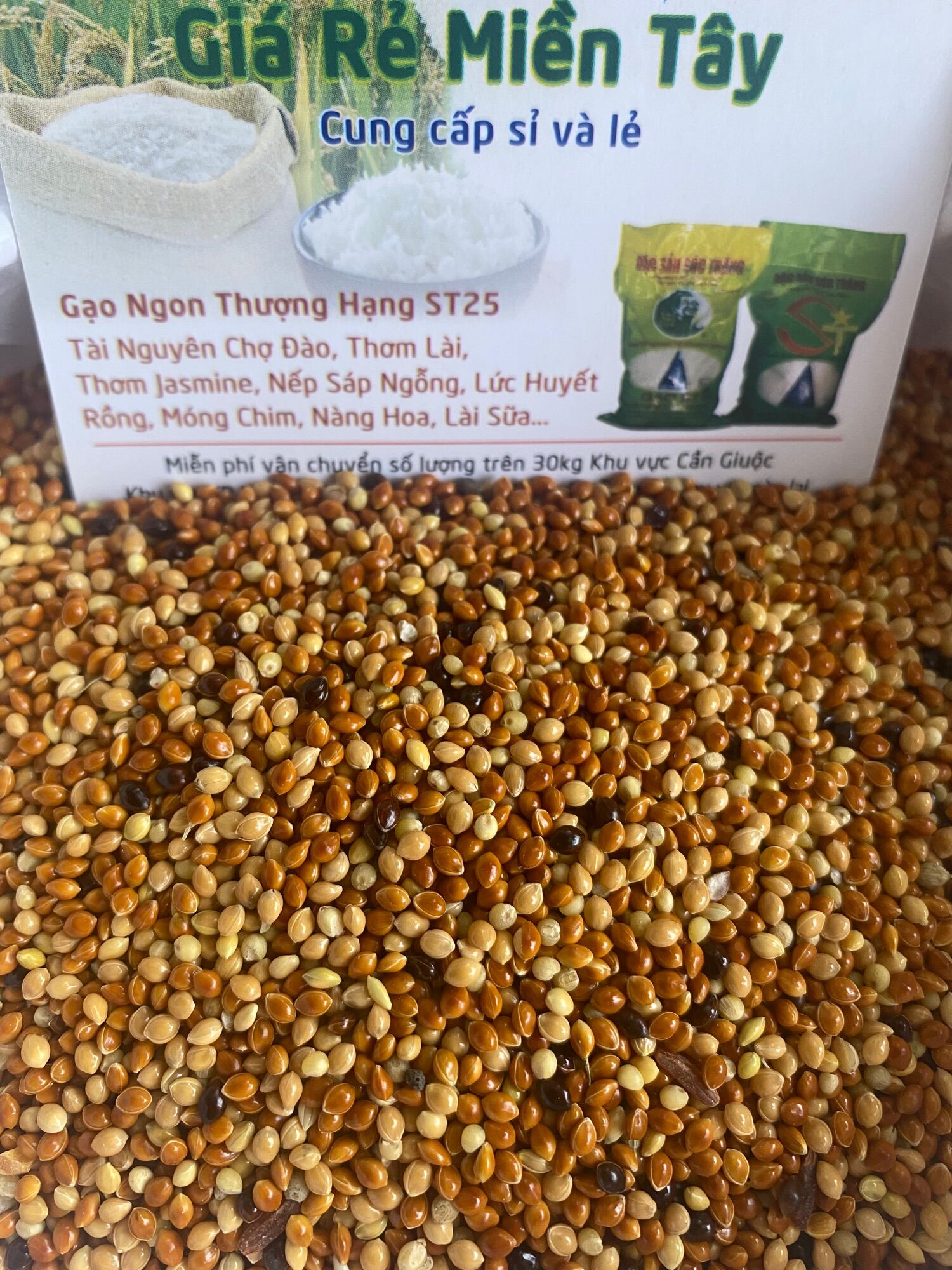 500Gram Cỏ Thái Dành cho Chim, Cu , Gáy ..vv..