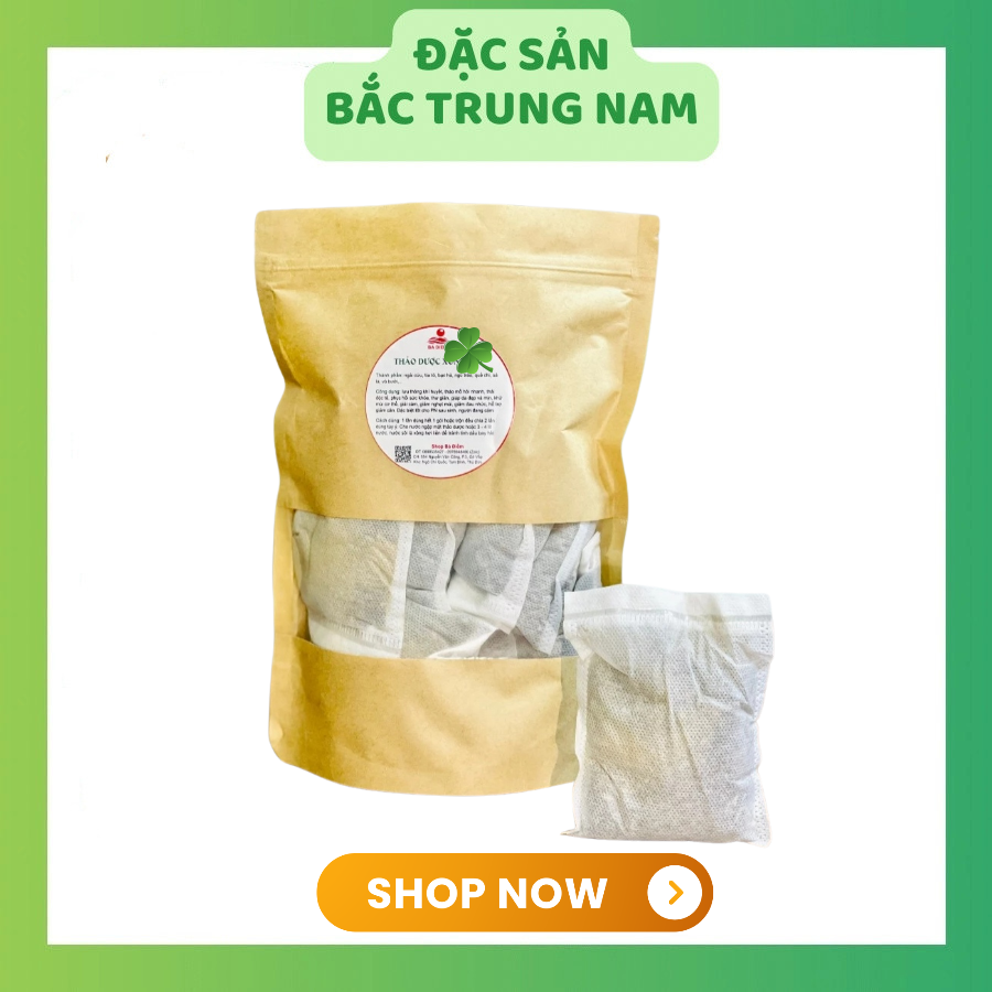 10 TRÀ TÚI LỌC lá ổi