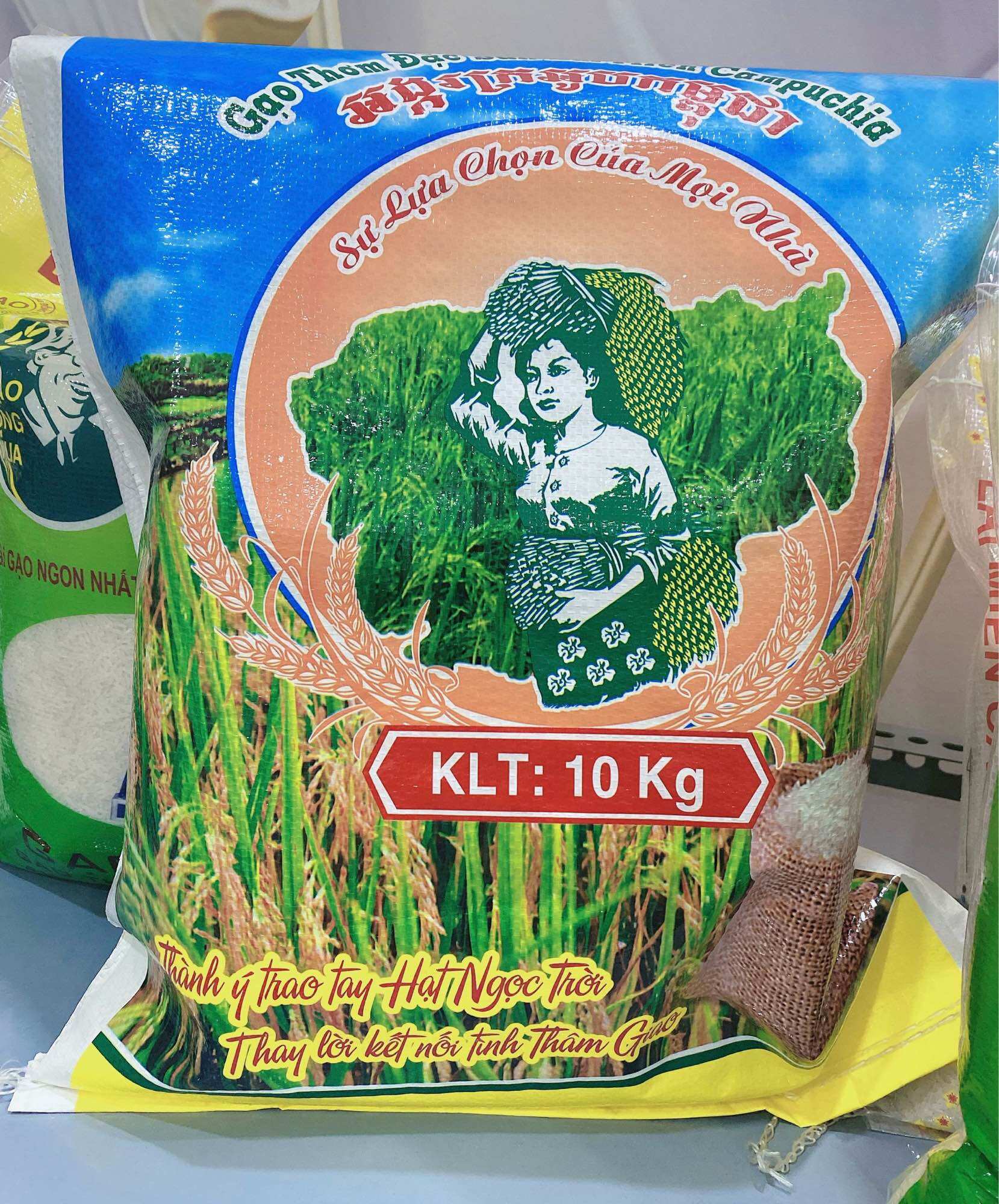 Gạo Thái Lan túi 10kg gạo dẻo thơm ngon