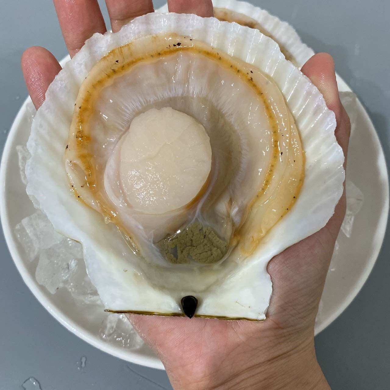 [1KG] SÒ ĐIỆP NHẬT NGUYÊN VỎ
