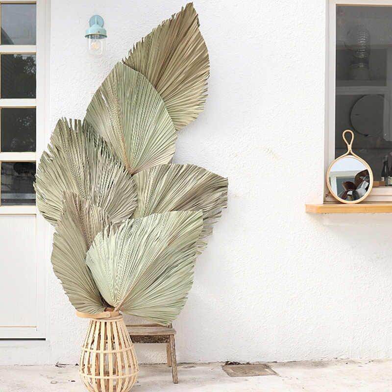 Lá cọ khô trang trí lh 0984694688