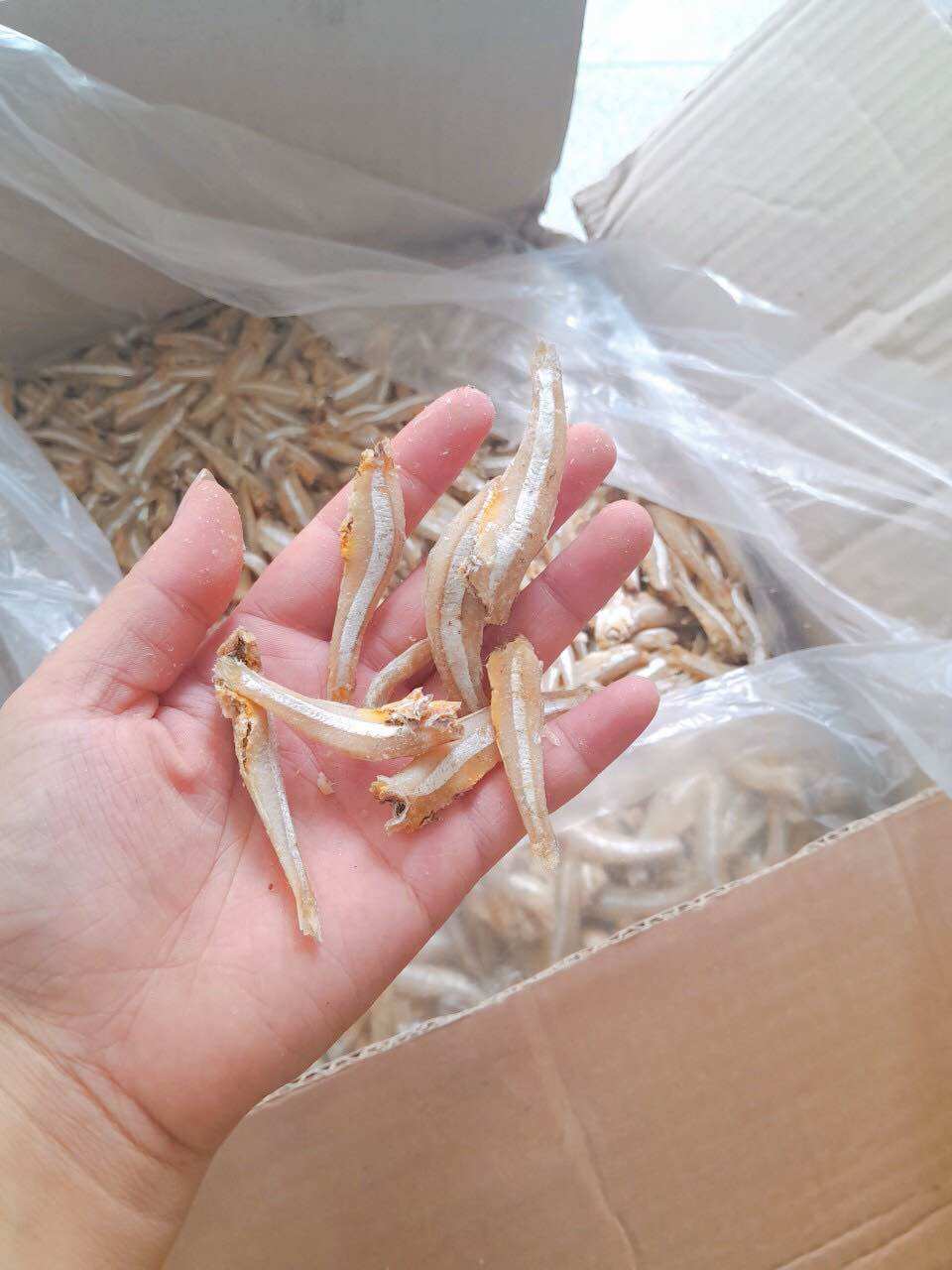 1kg cá cơm trắng hấp khô