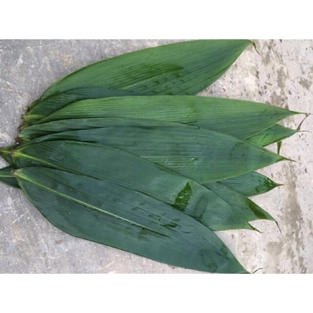 100gram lá tre tươi