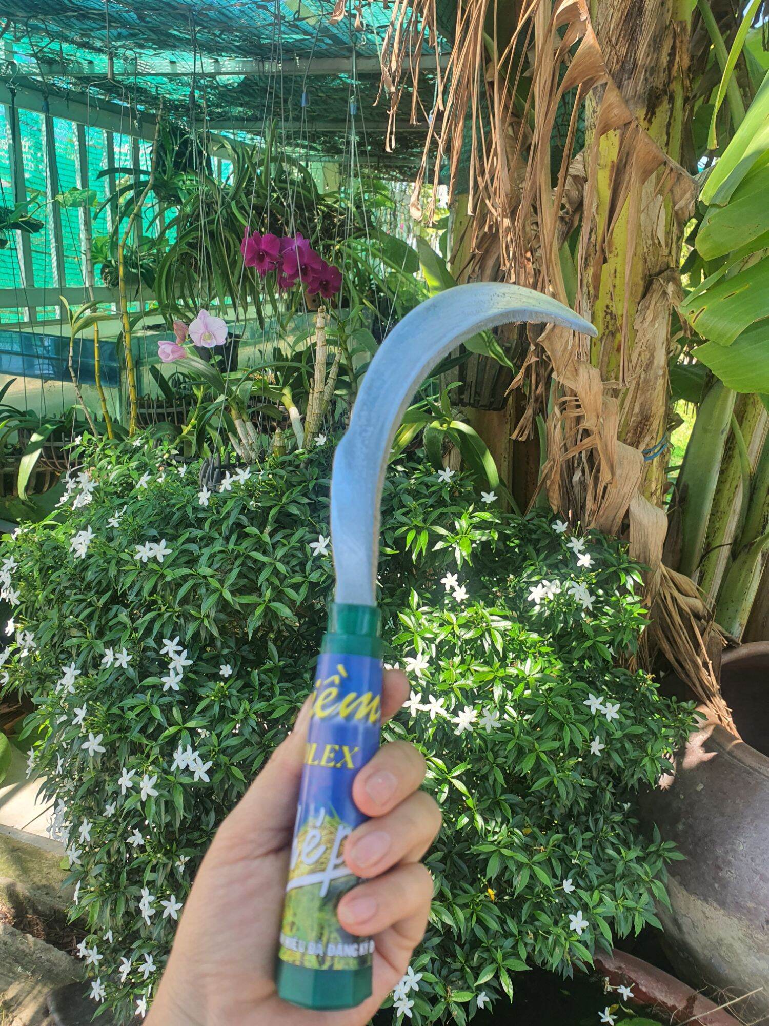 SET 3 LIỀM APOLEX CẮT CỎ
